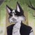 Profile picture of Purnax
