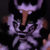 Profile picture of Soot