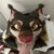 Profile picture of Twoleaf
