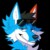 Profile picture of Freedom the yote