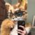 Profile picture of DuckyMoe