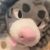 Profile picture of eli !!