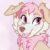 Profile picture of Lottie The Dunkin Doggo