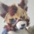 Profile picture of Clotter Otter
