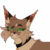 Profile picture of River B