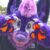 Profile picture of vanilla myth