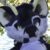 Profile picture of Ketzy