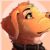 Profile picture of Salem Golden