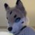 Profile picture of Cloud Fusky