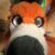 Profile picture of Tiki the fox