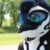 Profile picture of Galaxis Orca