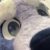 Profile picture of KickPuppy Rockruff
