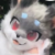 Profile picture of Scout Grey fox rabbit