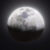 Profile picture of Mare