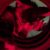Profile picture of Ryker Mutt