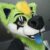Profile picture of Shilo Fox