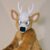 Profile picture of Lumen