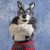Profile picture of oswanwolf