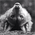 Profile picture of Everett