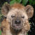Profile picture of Fabian