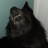 Profile picture of Nychthemeron