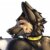Profile picture of Askim / Rocket.Dog