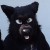 Profile picture of Jethro123