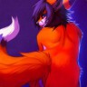 Profile picture of comfox