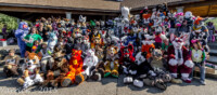 MNFurs-2015-Fall-Group-Photo 