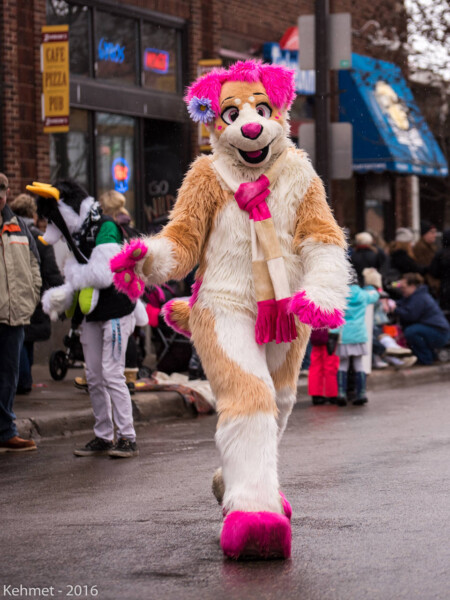 DSC_0319