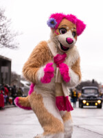 DSC_0323 