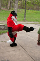 20090502-img_3180 