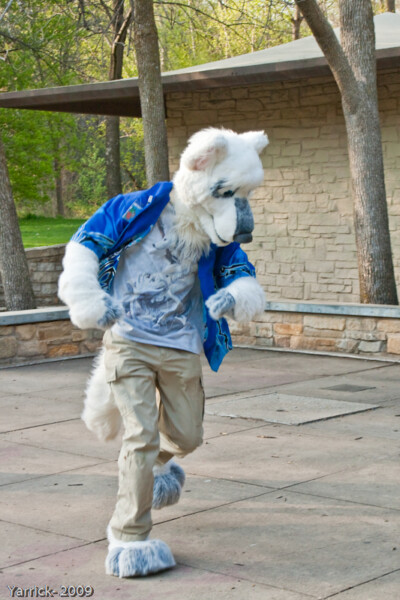 Run furry, run!!