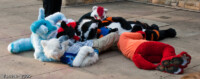 Furpile! 