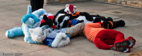 Furpile!