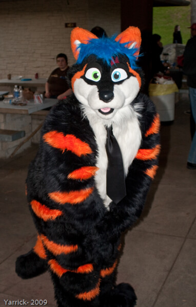 Business Furry