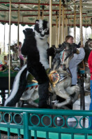20090501-img_2864 