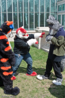 Defend yourself! 