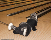 20100509-img_1807 