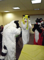 20100306-p3060262 
