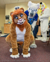 Crouching Lion 