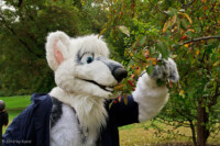 Twigs And Berries 