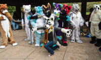 mnfurs-picnic-showing-fun 
