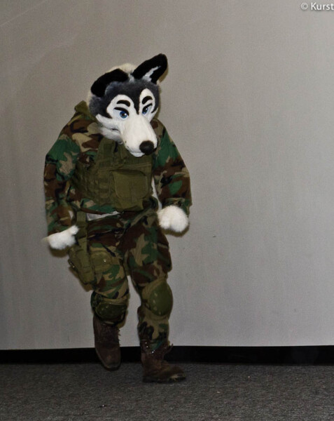 Solid Wolf