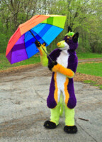 Take out The Umbrella 