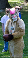 Furs Vs Skins 