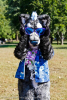 Sunglasses On 