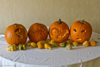 OMFG Pumpkins 
