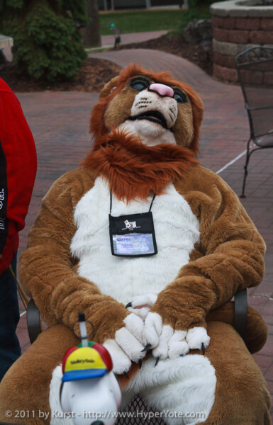 Lion Dreams