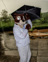 A Little Rain 